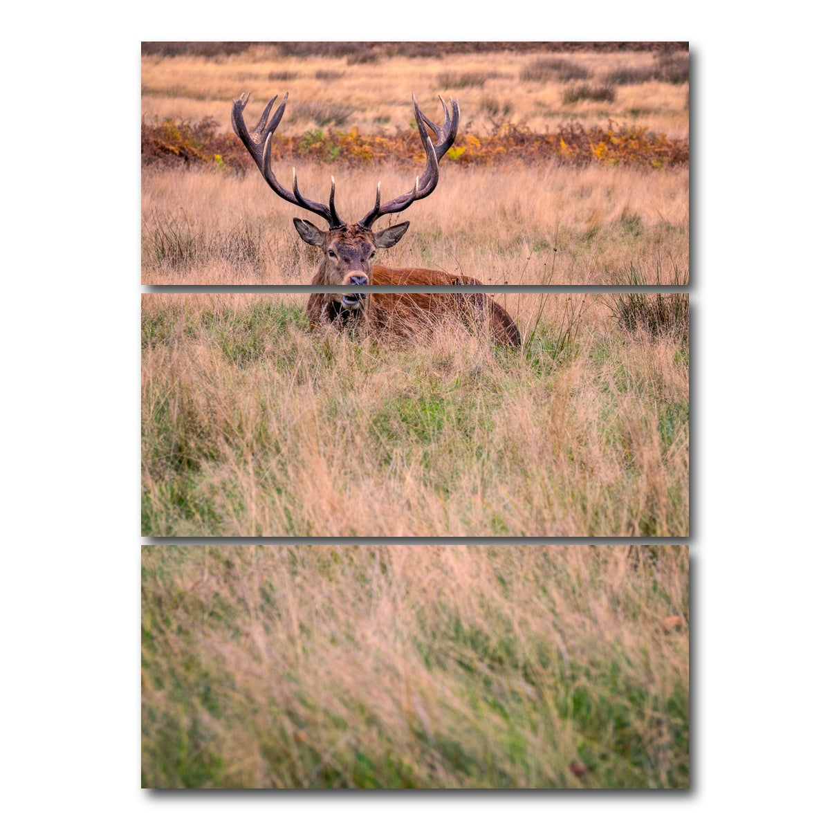 AUTO-MOCKUP WHITE | Richmond Park | 3 Piece | Gallery Wrap Canvas | group=8x18_stacked