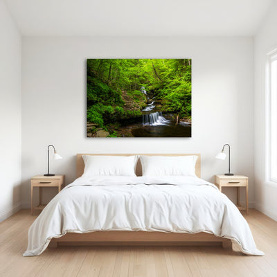 AUTO-MOCKUP ROOM | Ricketts Glen State Park