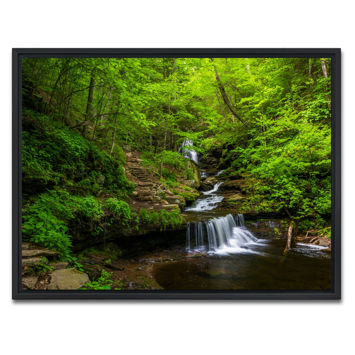 AUTO-MOCKUP WHITE | Ricketts Glen State Park | 1 Piece | Black Framed Canvas | group=4x3