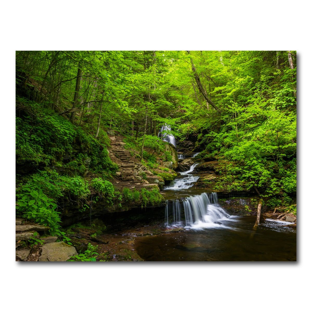 AUTO-MOCKUP WHITE | Ricketts Glen State Park | 1 Piece | Gallery Wrap Canvas | group=4x3