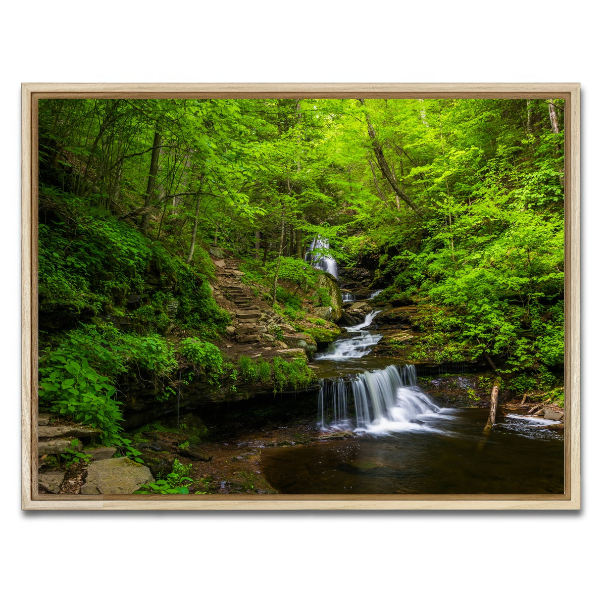 AUTO-MOCKUP WHITE | Ricketts Glen State Park | 1 Piece | Natural Framed Canvas | group=4x3