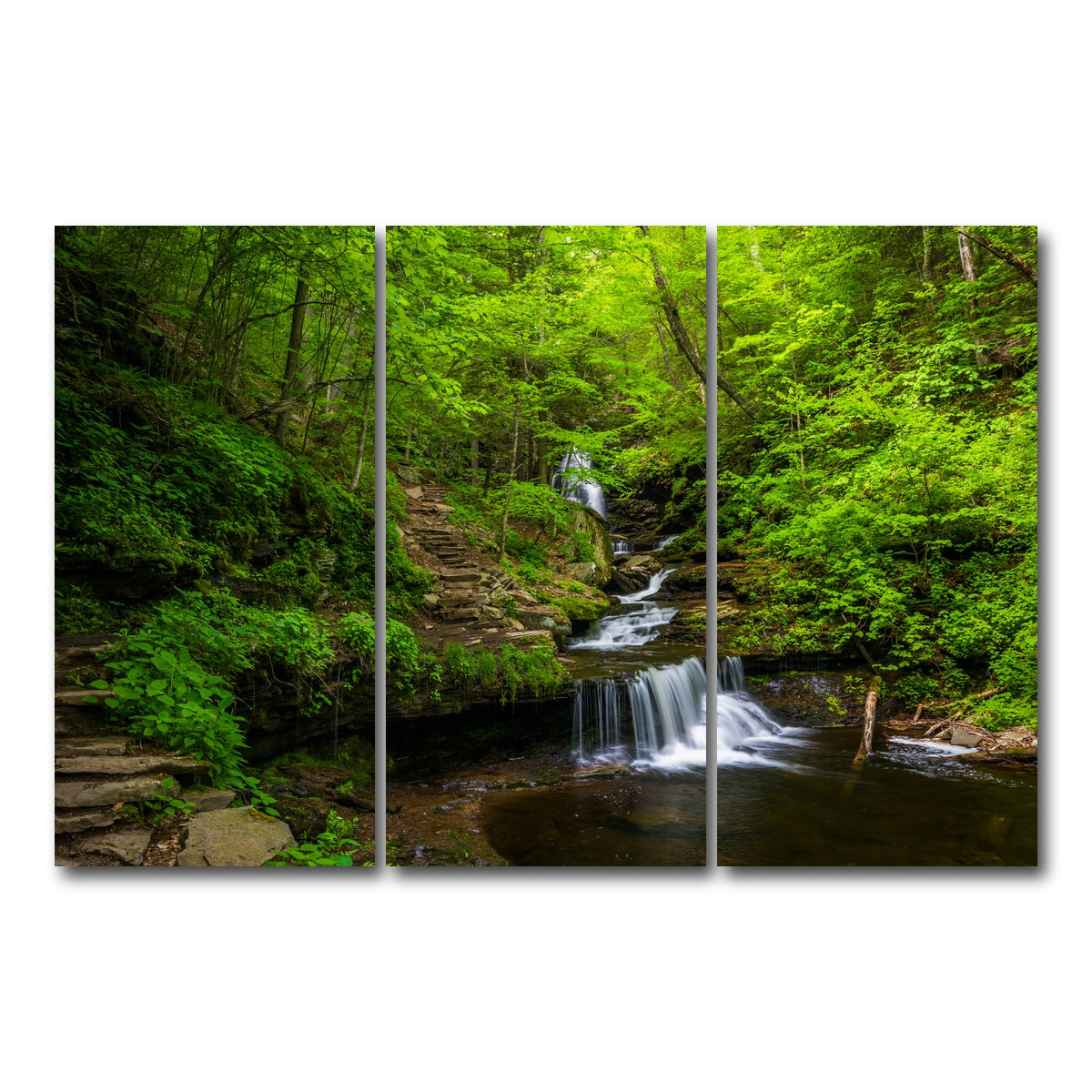 AUTO-MOCKUP WHITE | Ricketts Glen State Park | 3 Piece | Gallery Wrap Canvas | group=12x24