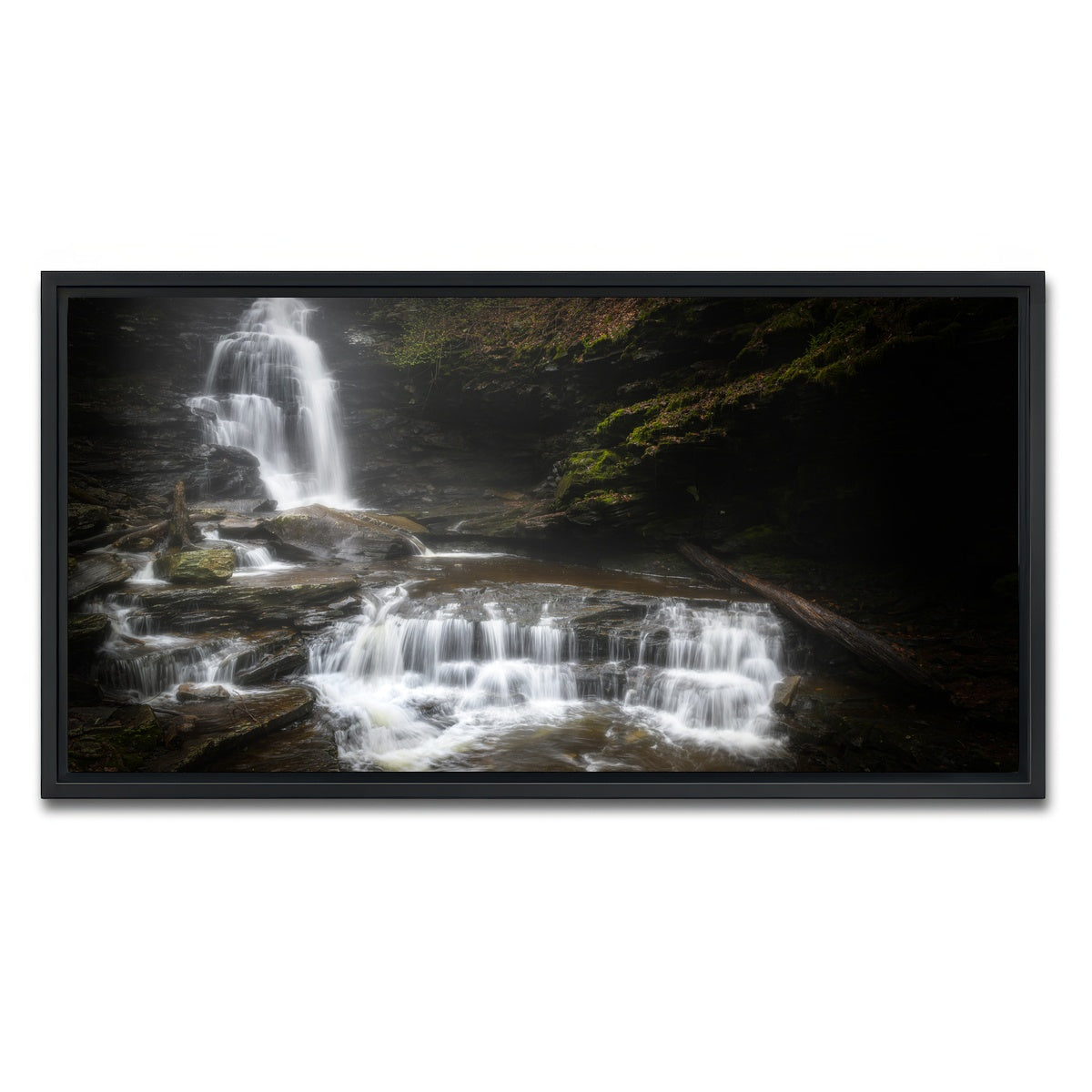 AUTO-MOCKUP WHITE | Ricketts Glen | 1 Piece | Black Framed Canvas | group=2x1