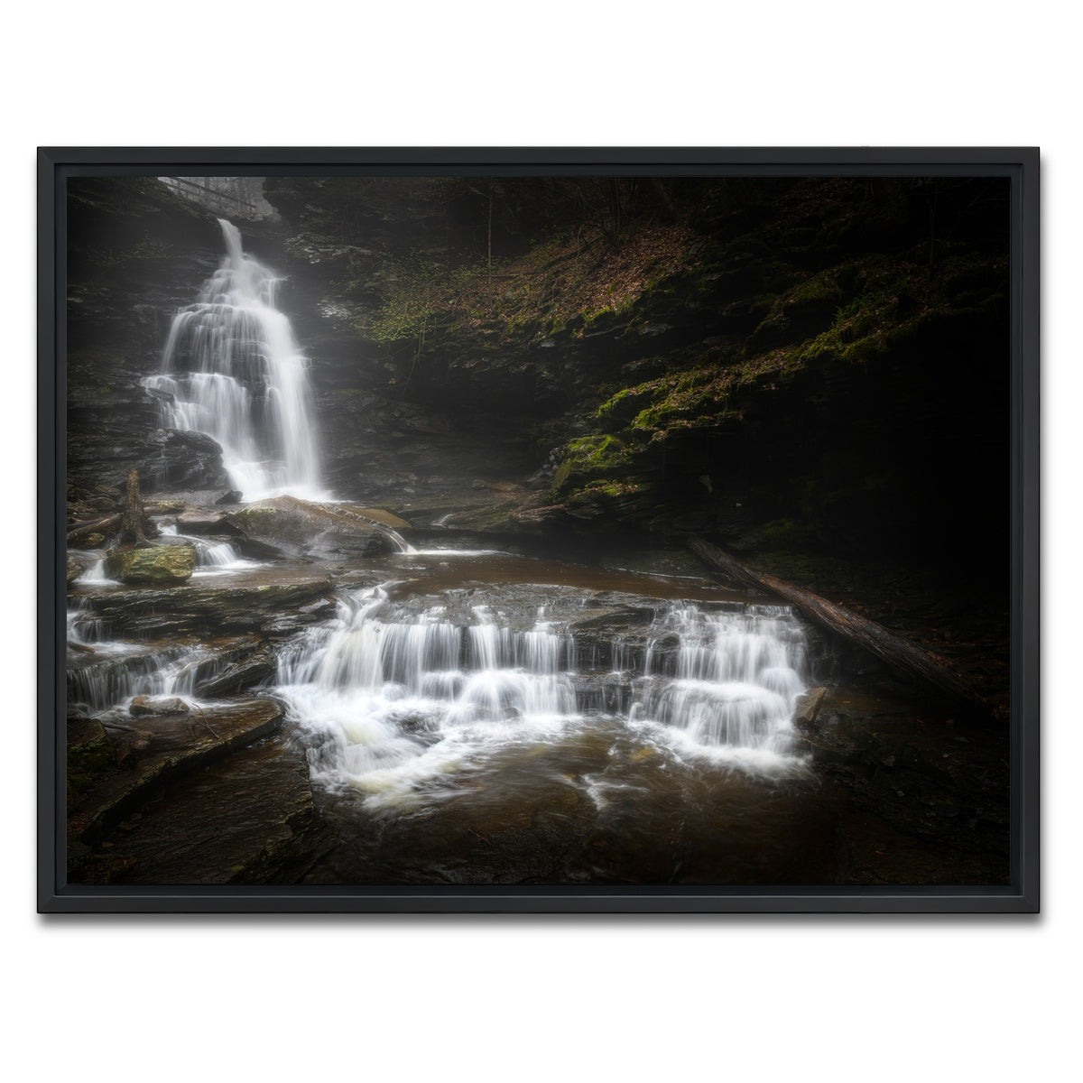 AUTO-MOCKUP WHITE | Ricketts Glen | 1 Piece | Black Framed Canvas | group=4x3