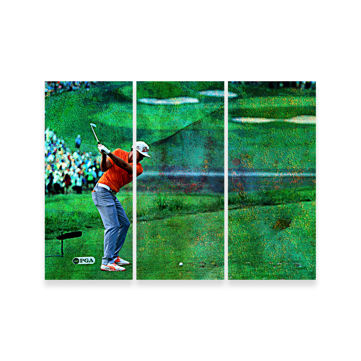 Rickie Fowler Wall Art
