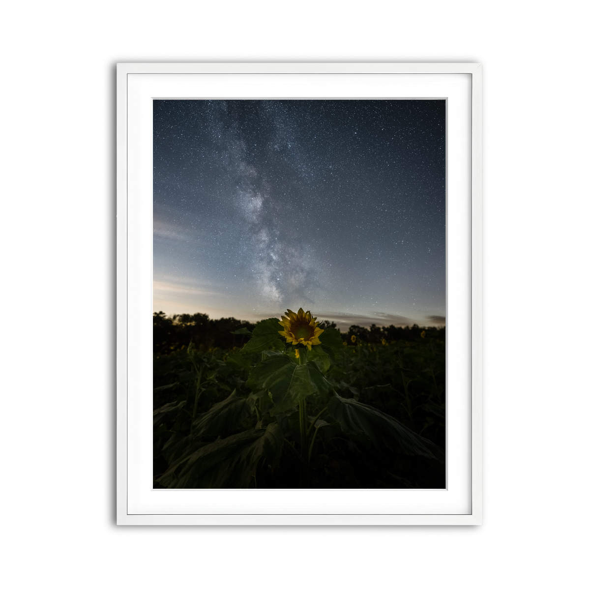 Framed Print 3x4 White
