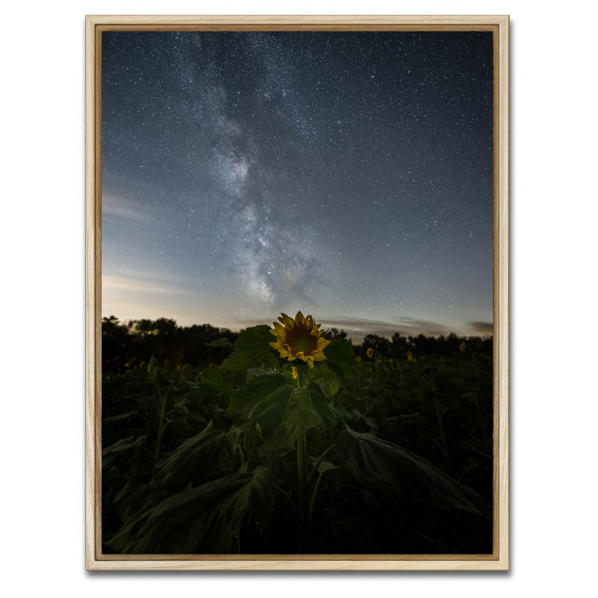AUTO-MOCKUP WHITE | Rise and Face the Night | 1 Piece | Natural Framed Canvas | group=3x4