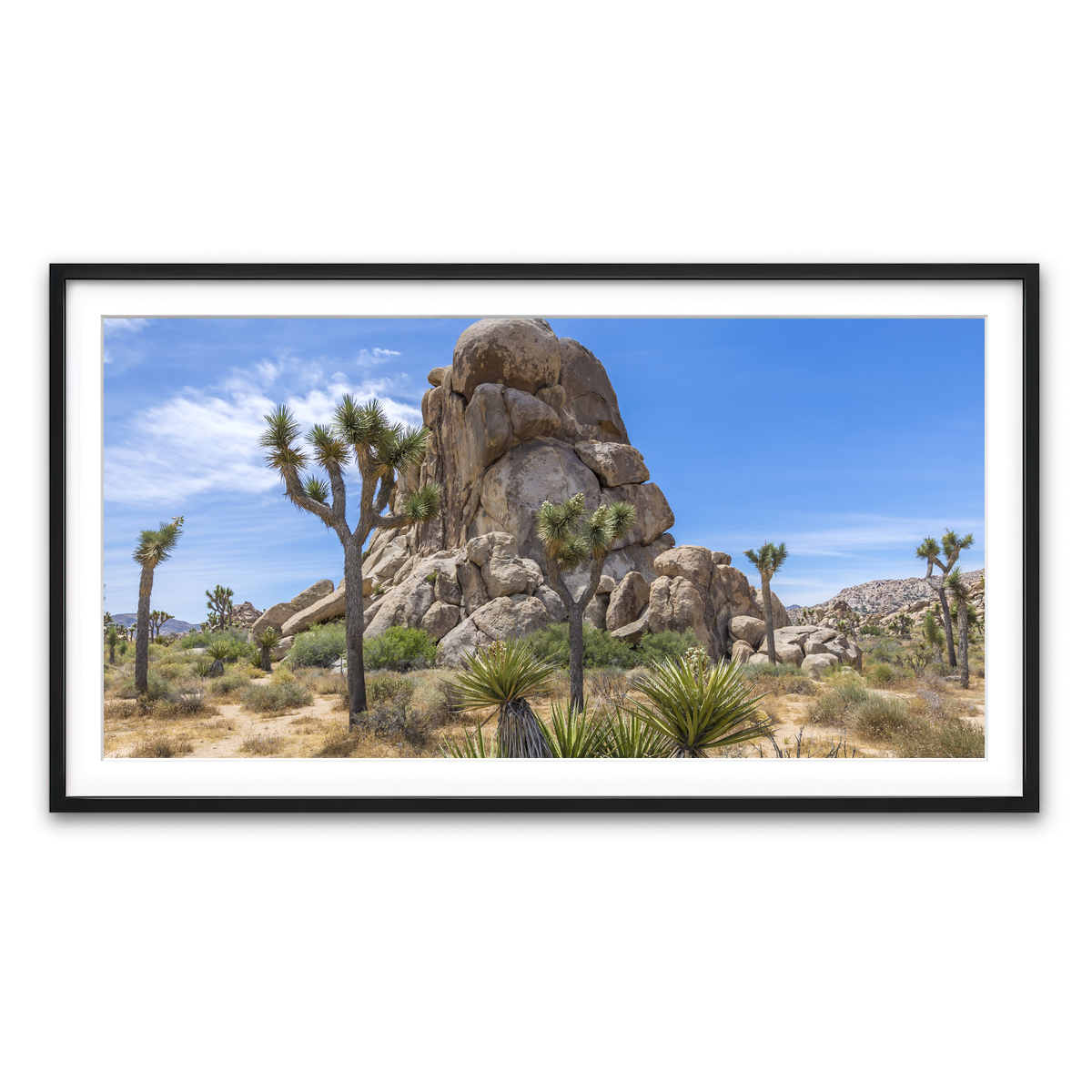 Framed Print 2x1 Black