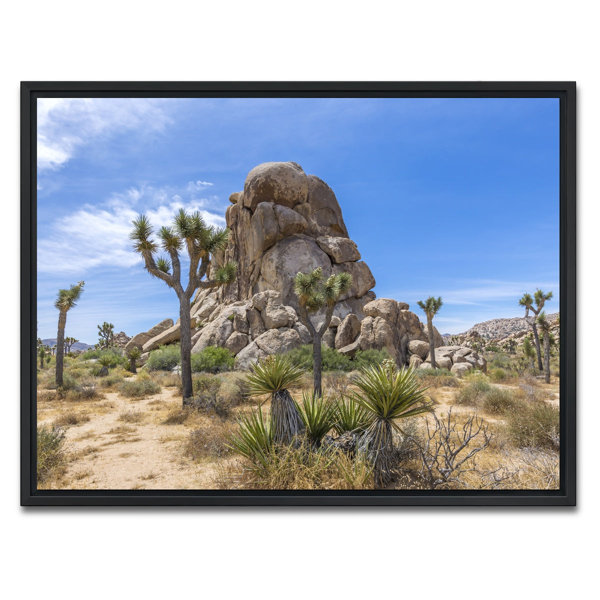 AUTO-MOCKUP WHITE | Roadside Rock Joshua Tree National Park | 1 Piece | Black Framed Canvas | group=4x3