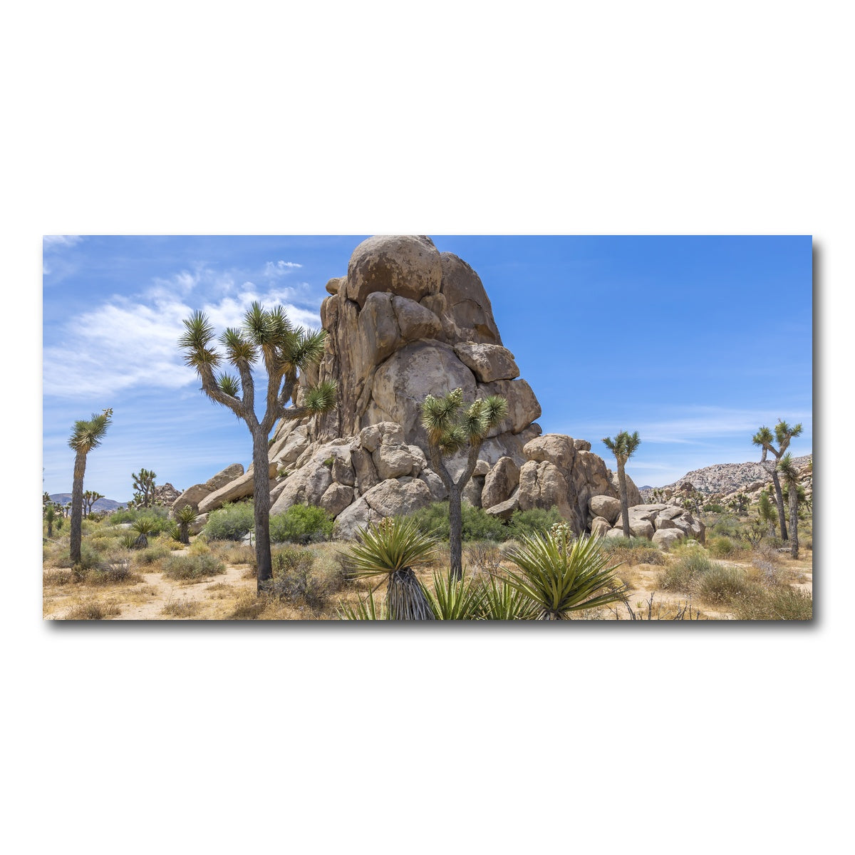 AUTO-MOCKUP WHITE | Roadside Rock Joshua Tree National Park | 1 Piece | Gallery Wrap Canvas | group=2x1