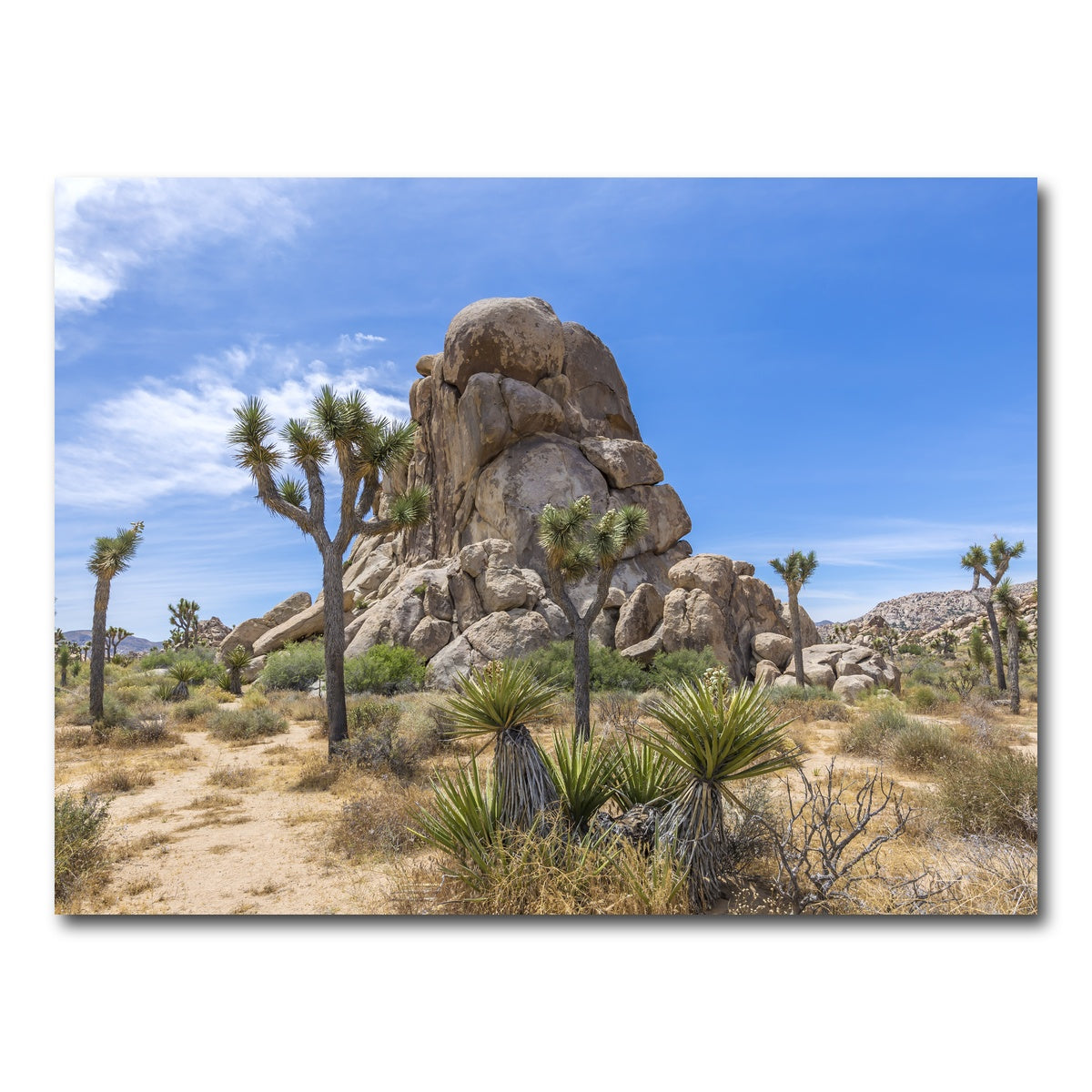 AUTO-MOCKUP WHITE | Roadside Rock Joshua Tree National Park | 1 Piece | Gallery Wrap Canvas | group=4x3
