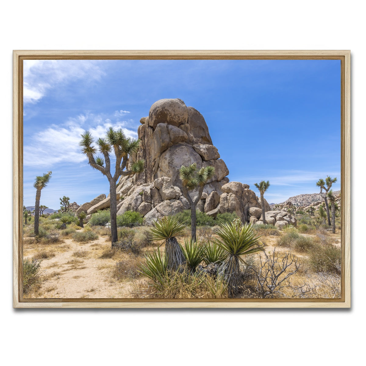 AUTO-MOCKUP WHITE | Roadside Rock Joshua Tree National Park | 1 Piece | Natural Framed Canvas | group=4x3