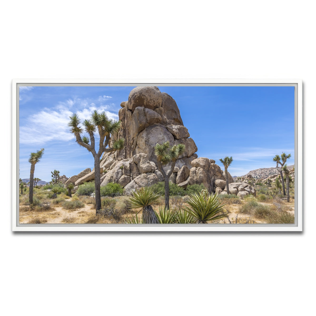 AUTO-MOCKUP WHITE | Roadside Rock Joshua Tree National Park | 1 Piece | White Framed Canvas | group=2x1