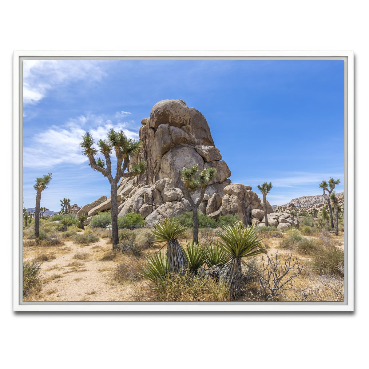 AUTO-MOCKUP WHITE | Roadside Rock Joshua Tree National Park | 1 Piece | White Framed Canvas | group=4x3