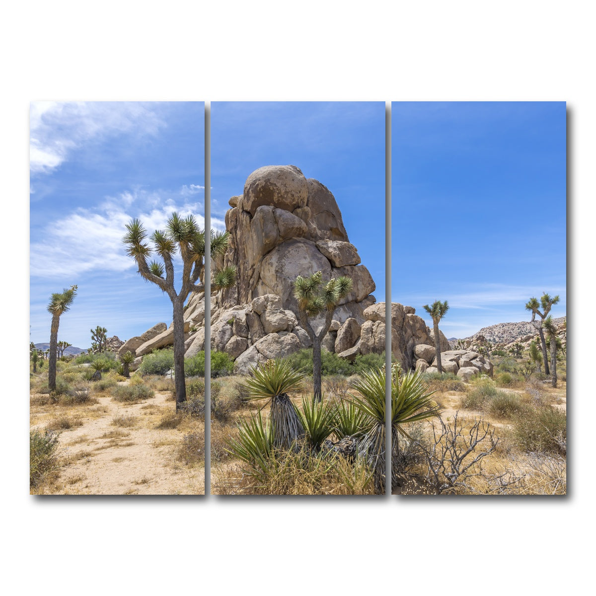 AUTO-MOCKUP WHITE | Roadside Rock Joshua Tree National Park | 3 Piece | Gallery Wrap Canvas | group=8x18