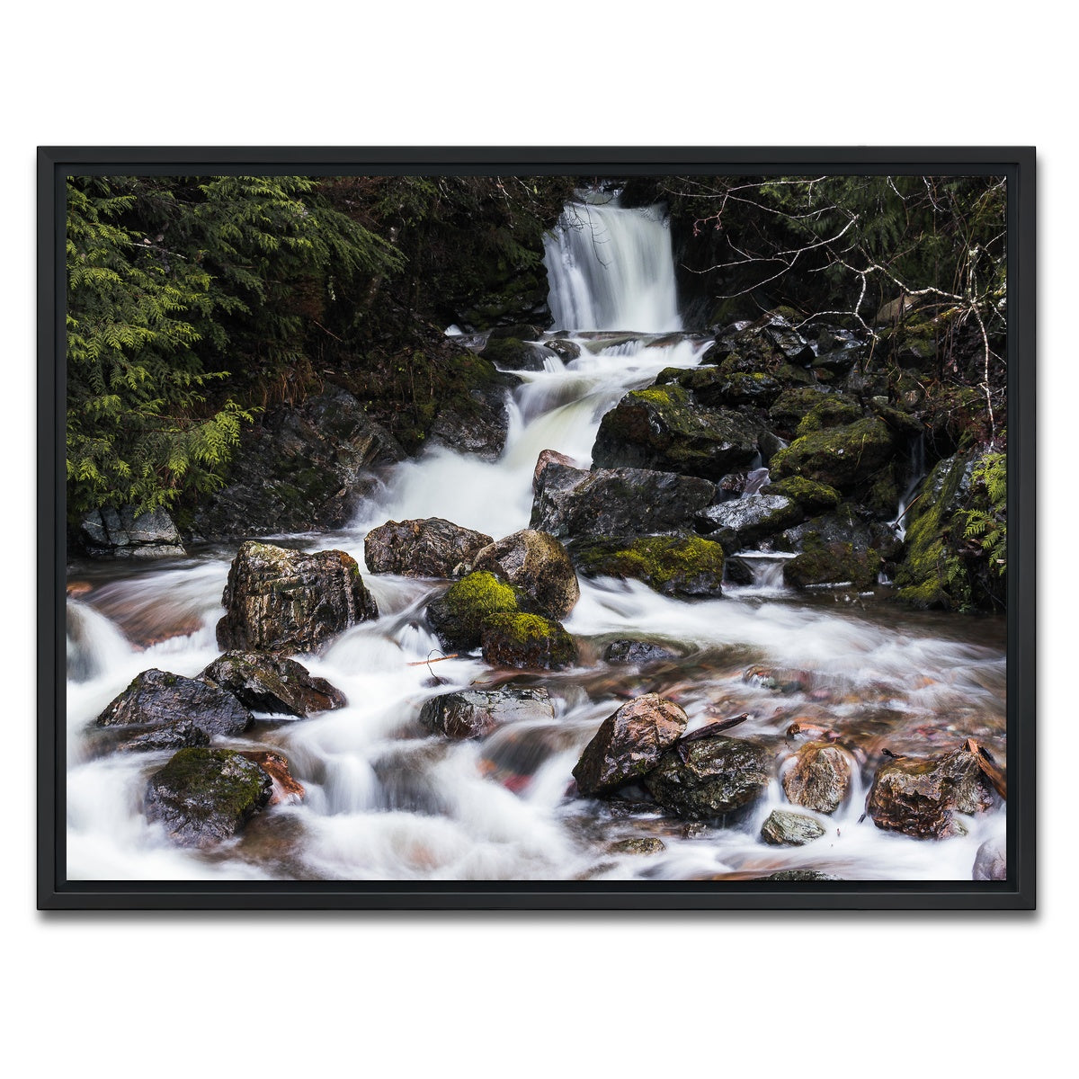 AUTO-MOCKUP WHITE | Roadside Waterfalls | 1 Piece | Black Framed Canvas | group=4x3