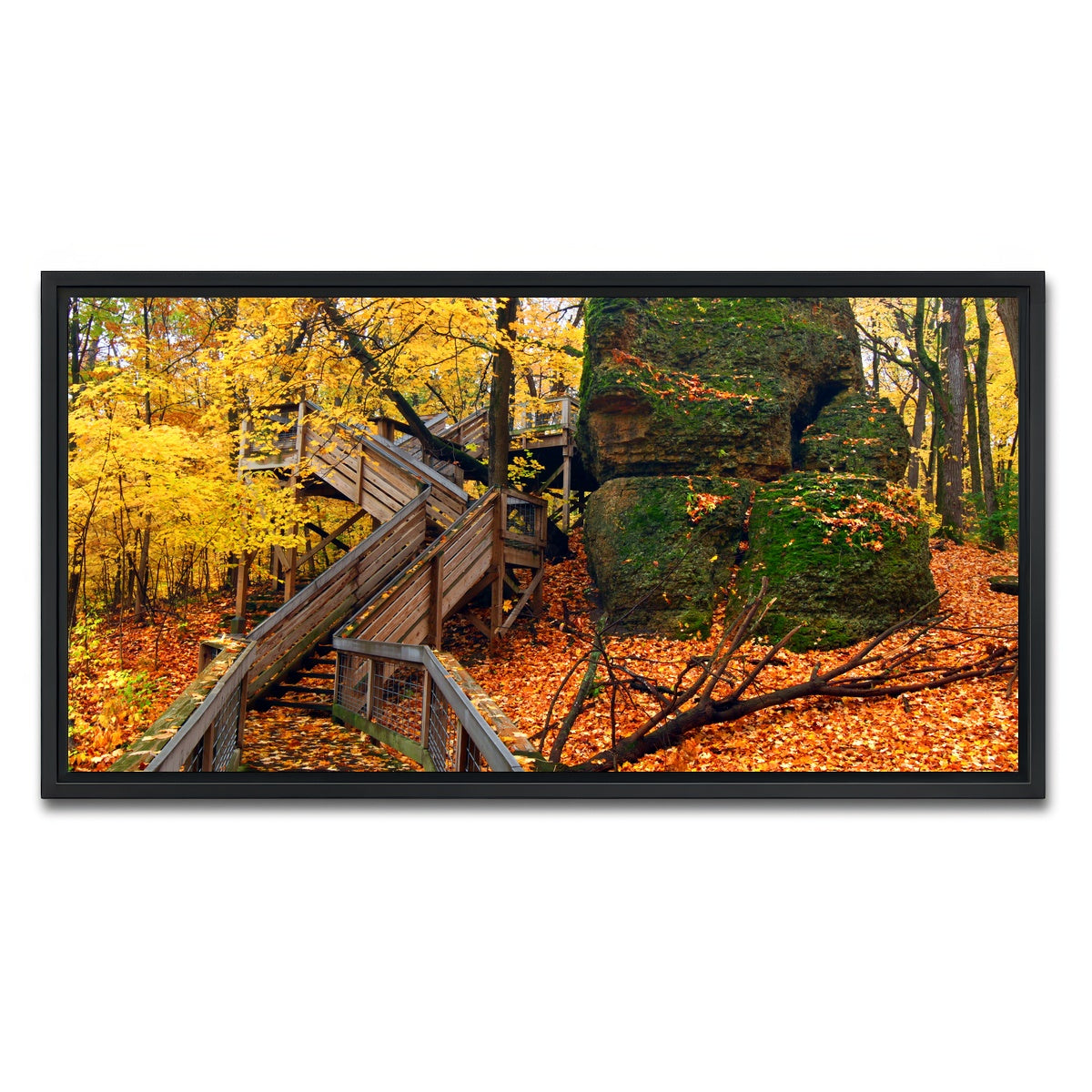 AUTO-MOCKUP WHITE | Rock Cut State Park | 1 Piece | Black Framed Canvas | group=2x1