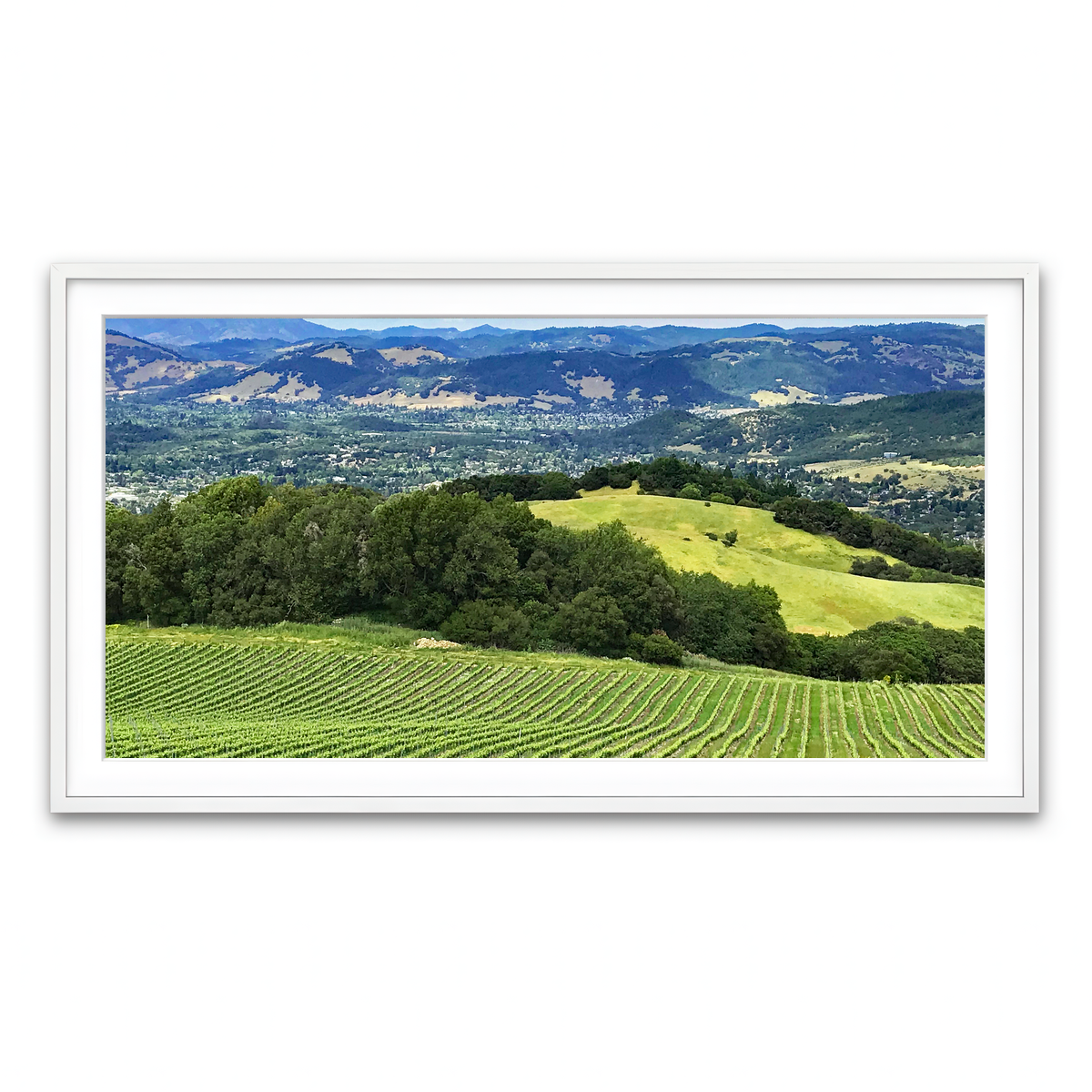 Framed Print 2x1 White