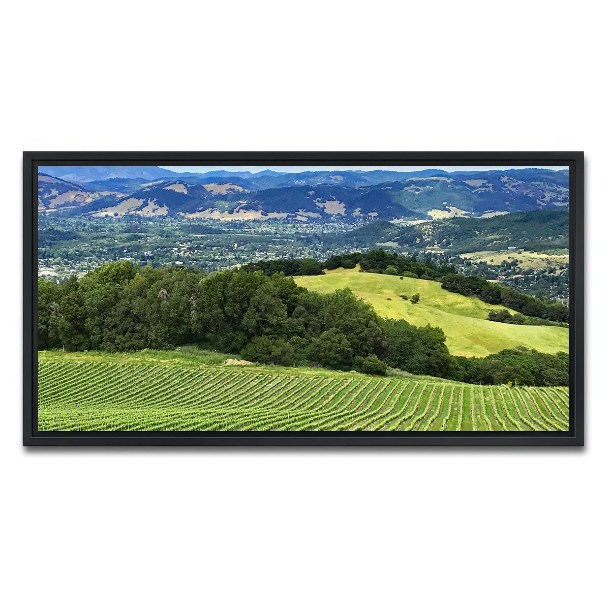 AUTO-MOCKUP WHITE | Rolling hills and vineyards of Sonoma County | 1 Piece | Black Framed Canvas | group=2x1
