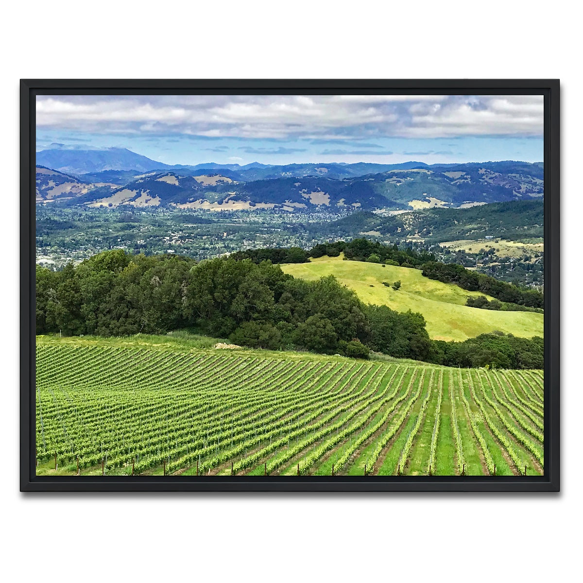 AUTO-MOCKUP WHITE | Rolling hills and vineyards of Sonoma County | 1 Piece | Black Framed Canvas | group=4x3