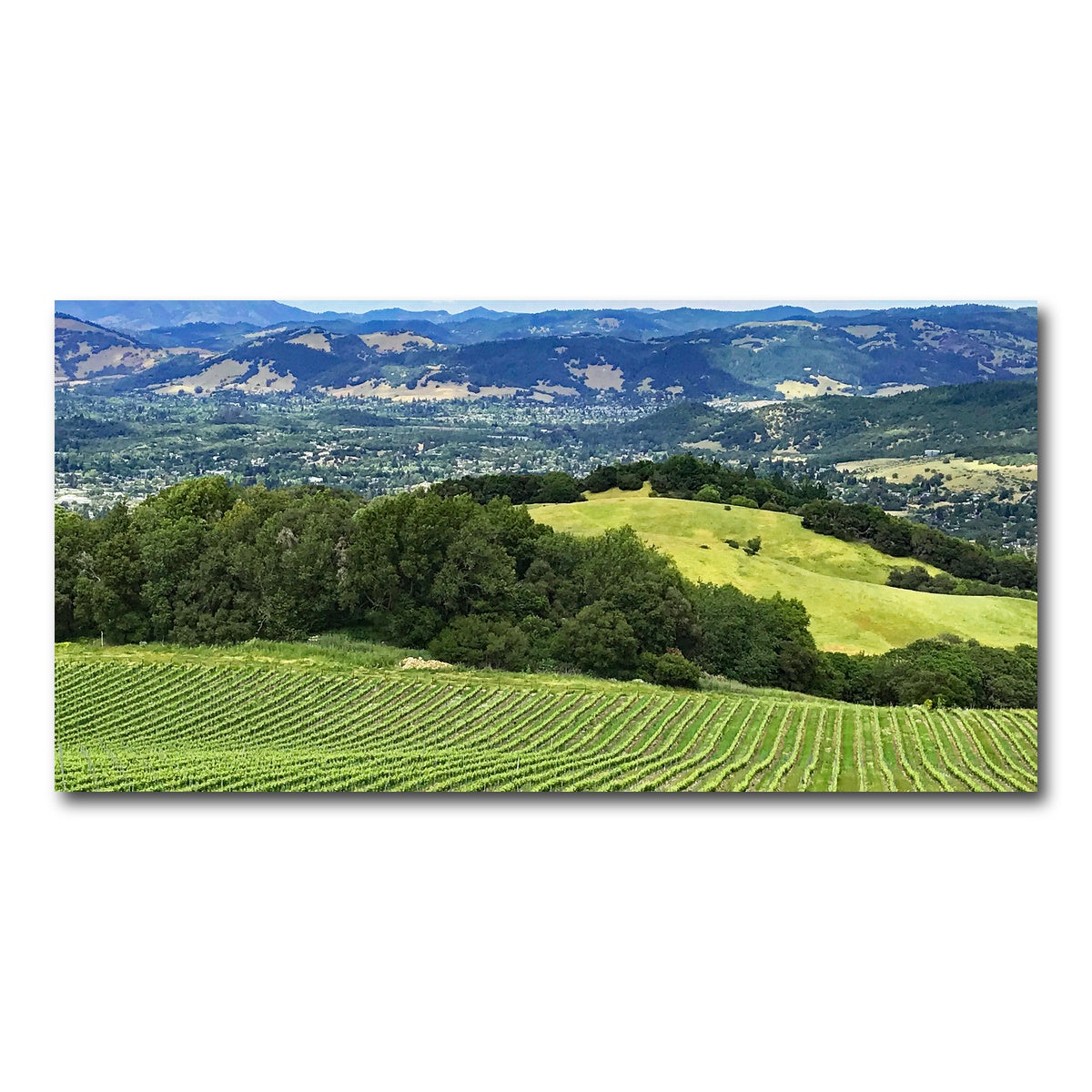 AUTO-MOCKUP WHITE | Rolling hills and vineyards of Sonoma County | 1 Piece | Gallery Wrap Canvas | group=2x1