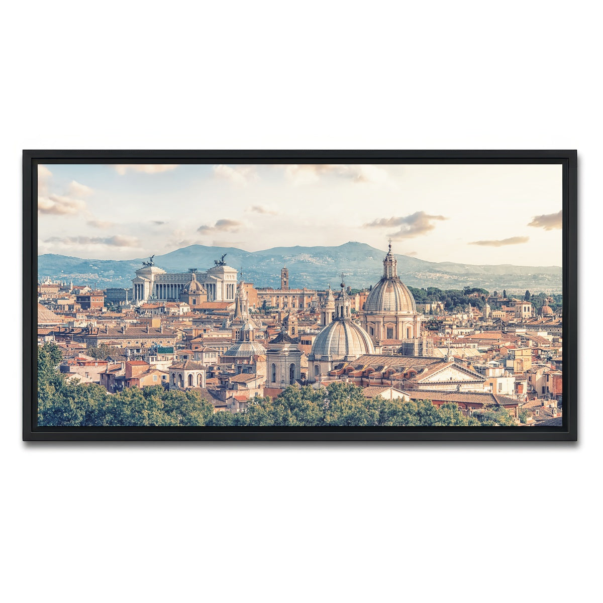 AUTO-MOCKUP WHITE | Rome Roofs | 1 Piece | Black Framed Canvas | group=2x1