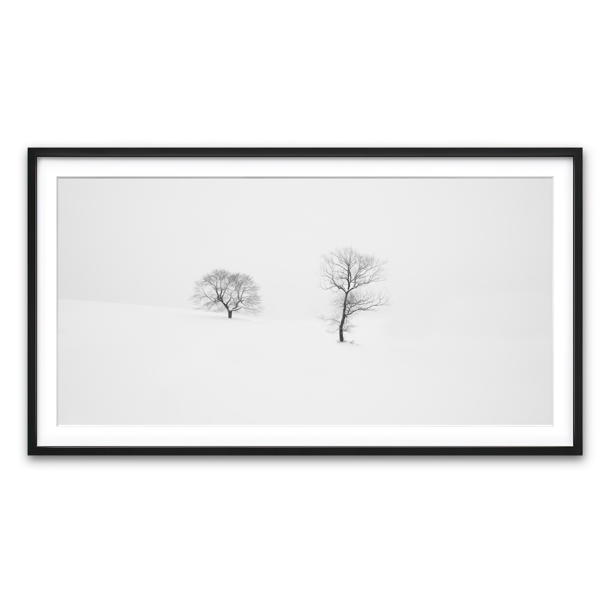 Framed Print 2x1 Black