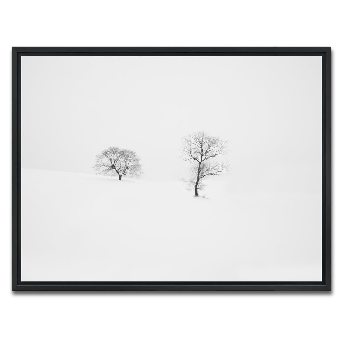 AUTO-MOCKUP WHITE | Rooted in Silence | 1 Piece | Black Framed Canvas | group=4x3