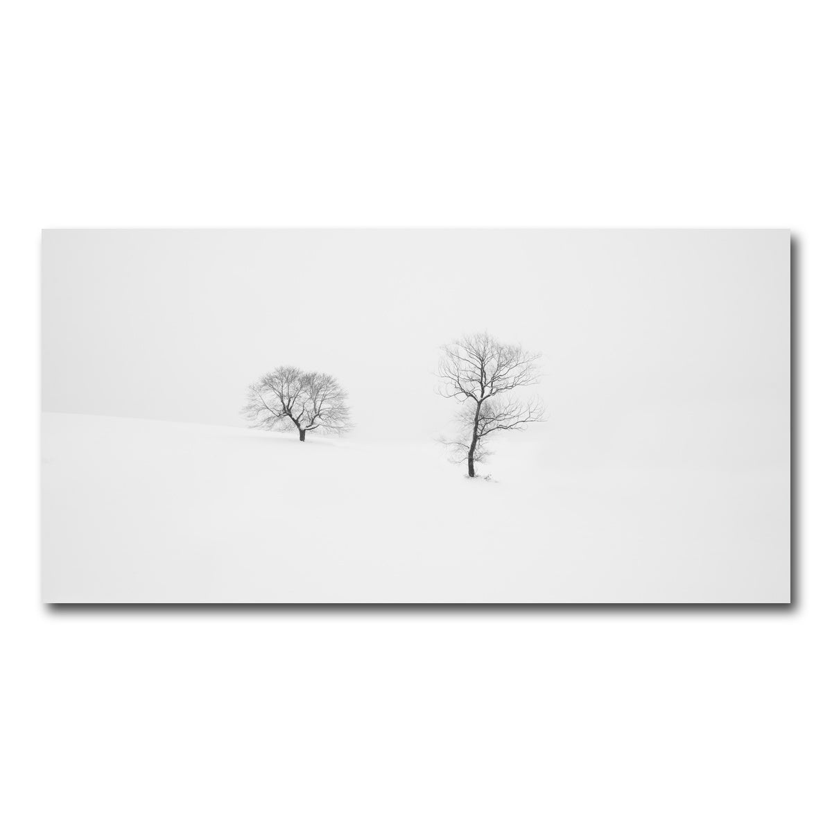AUTO-MOCKUP WHITE | Rooted in Silence | 1 Piece | Gallery Wrap Canvas | group=2x1