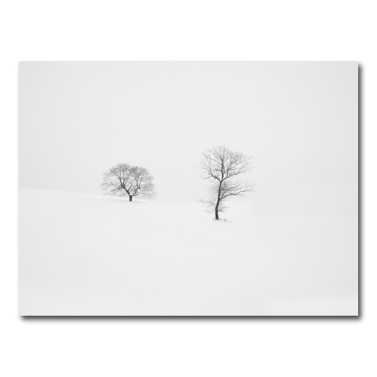 AUTO-MOCKUP WHITE | Rooted in Silence | 1 Piece | Gallery Wrap Canvas | group=4x3
