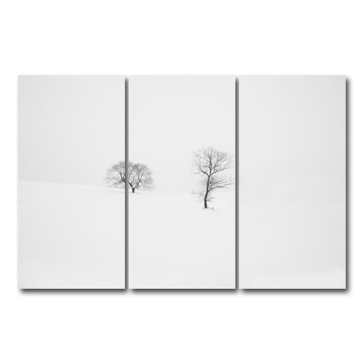 AUTO-MOCKUP WHITE | Rooted in Silence | 3 Piece | Gallery Wrap Canvas | group=12x24
