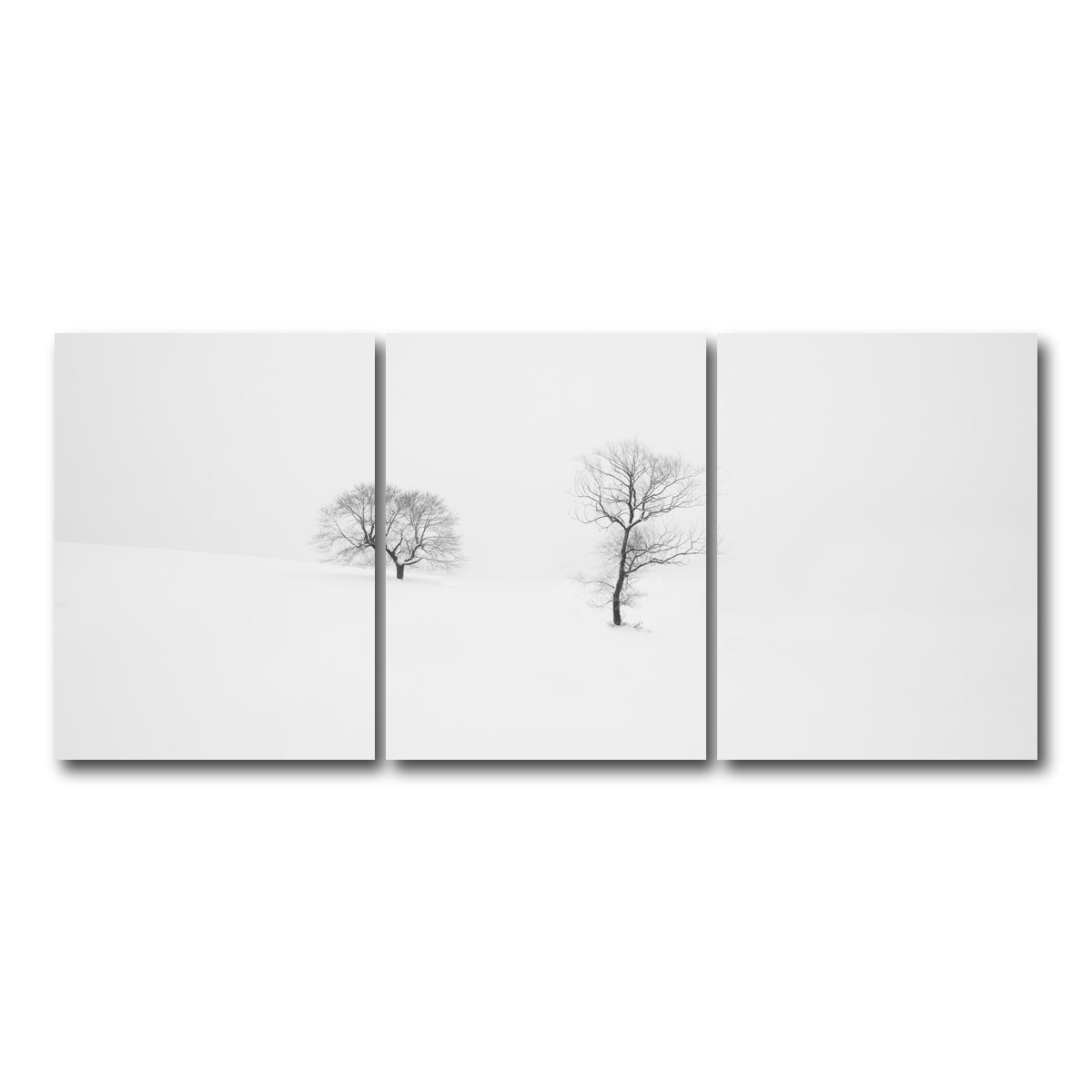 AUTO-MOCKUP WHITE | Rooted in Silence | 3 Piece | Gallery Wrap Canvas | group=18x24