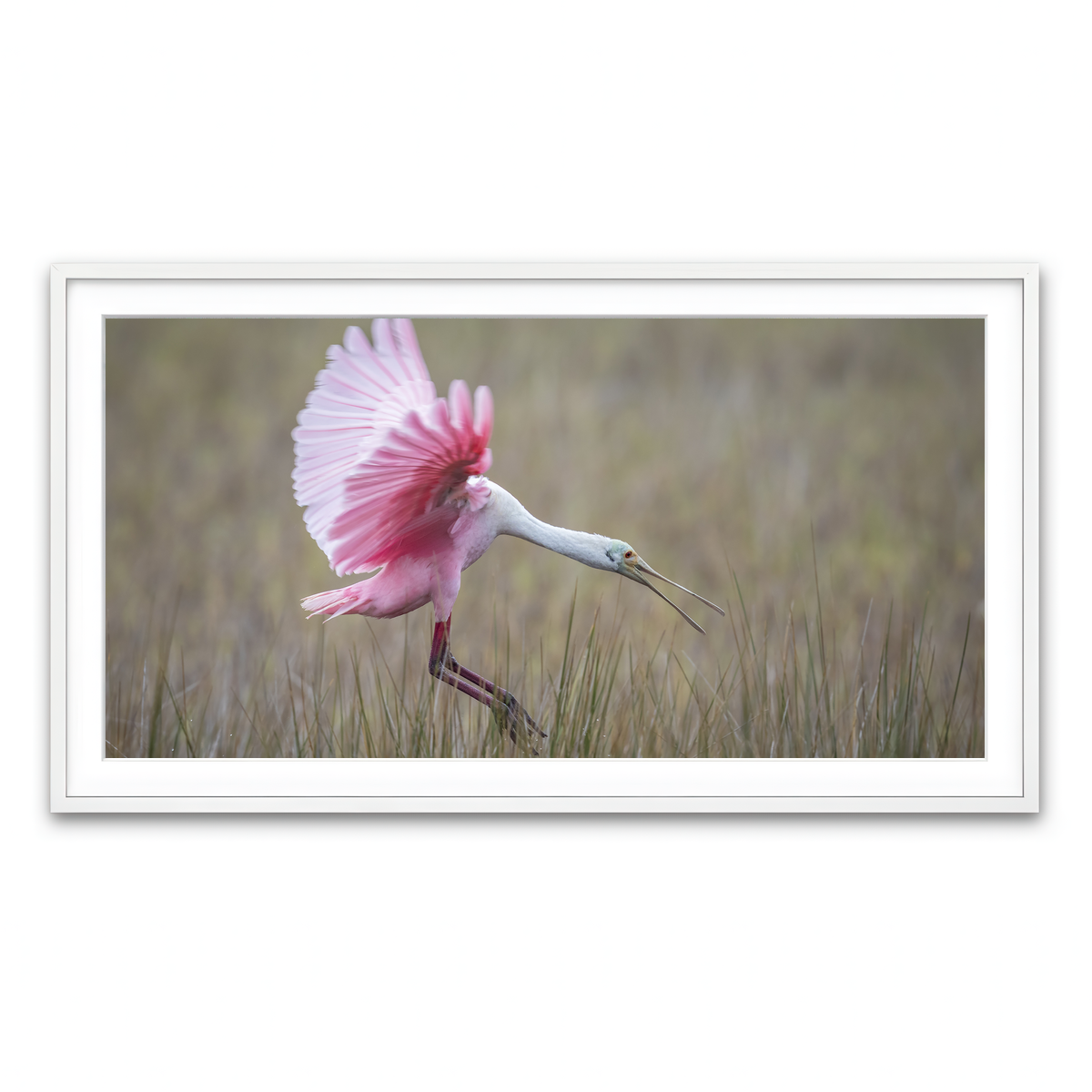 Framed Print 2x1 White