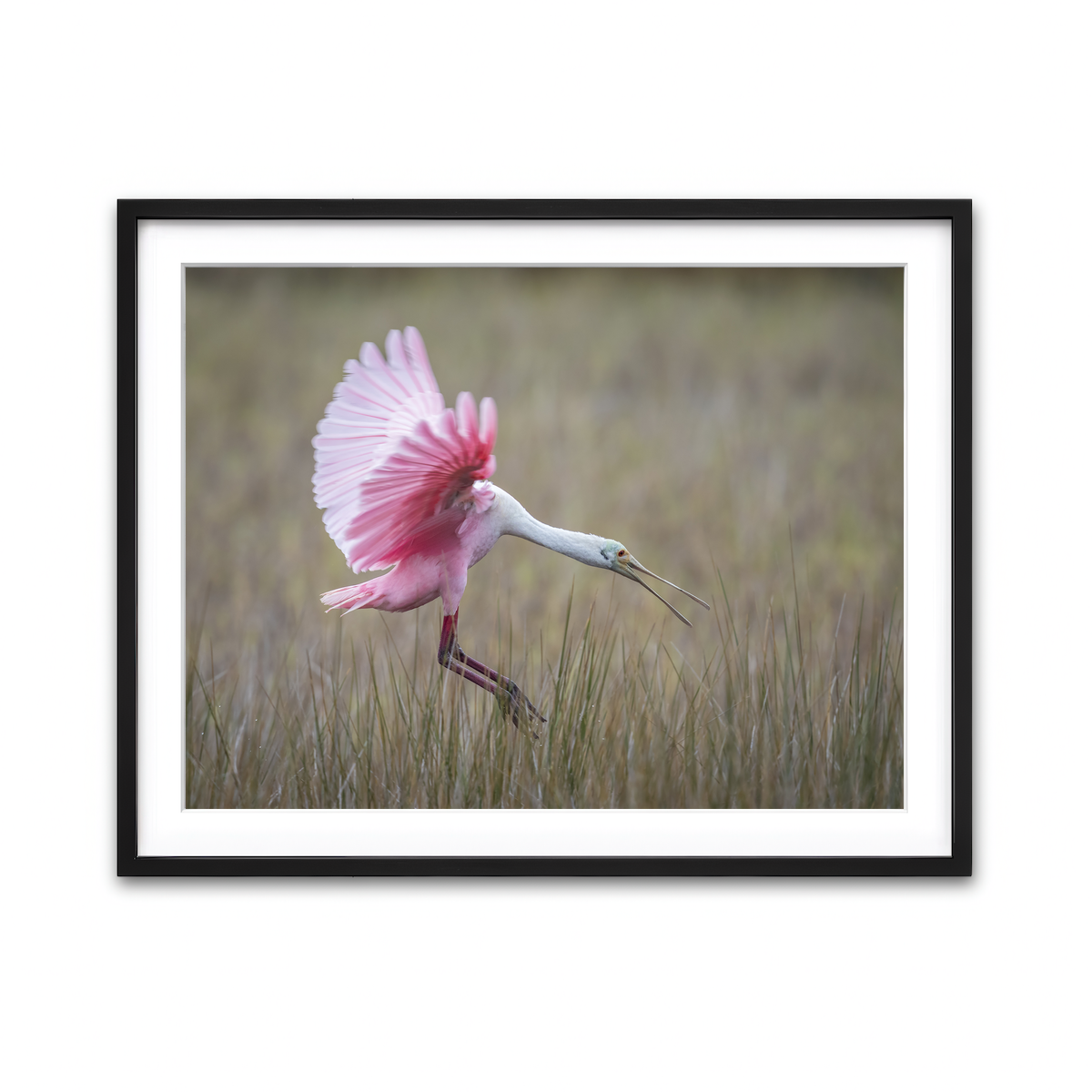 Framed Print 4x3 Black