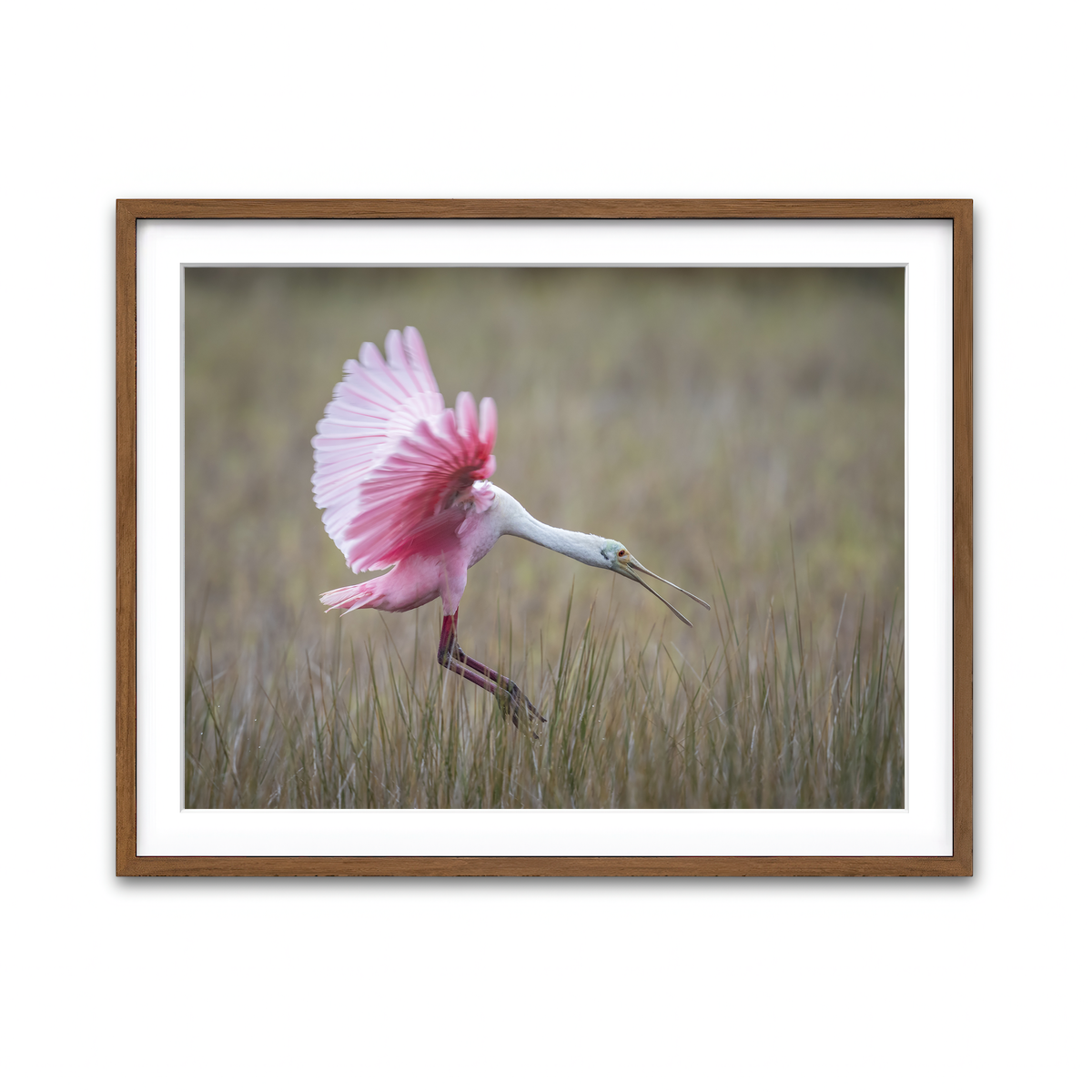 Framed Print 4x3 Walnut