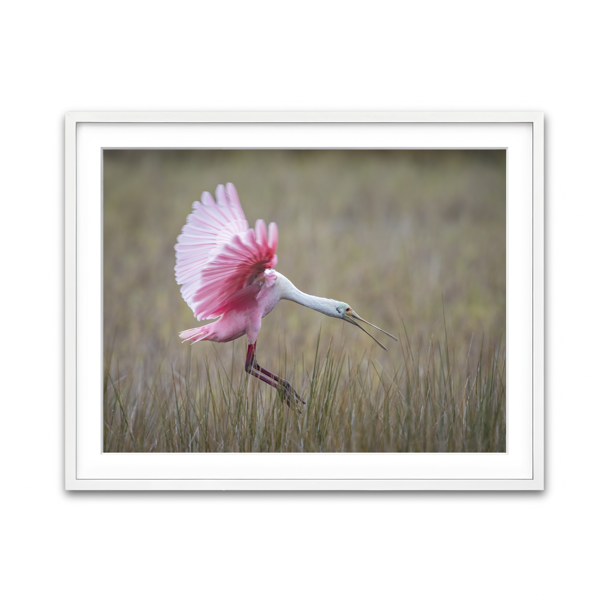 Framed Print 4x3 White