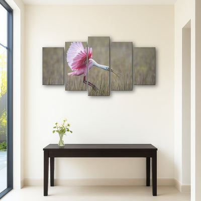 AUTO-MOCKUP ROOM | Roseate Spoonbill - Merritt Island Wildlife Refuge
