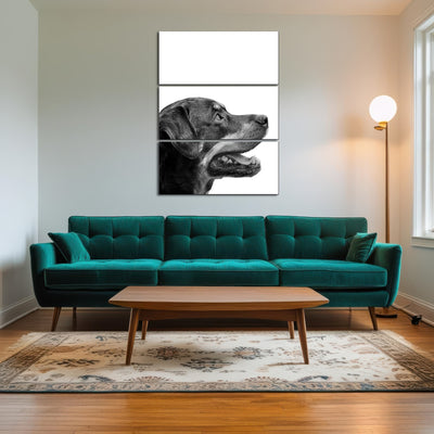 AUTO-MOCKUP ROOM | Rottweiler Dog Face