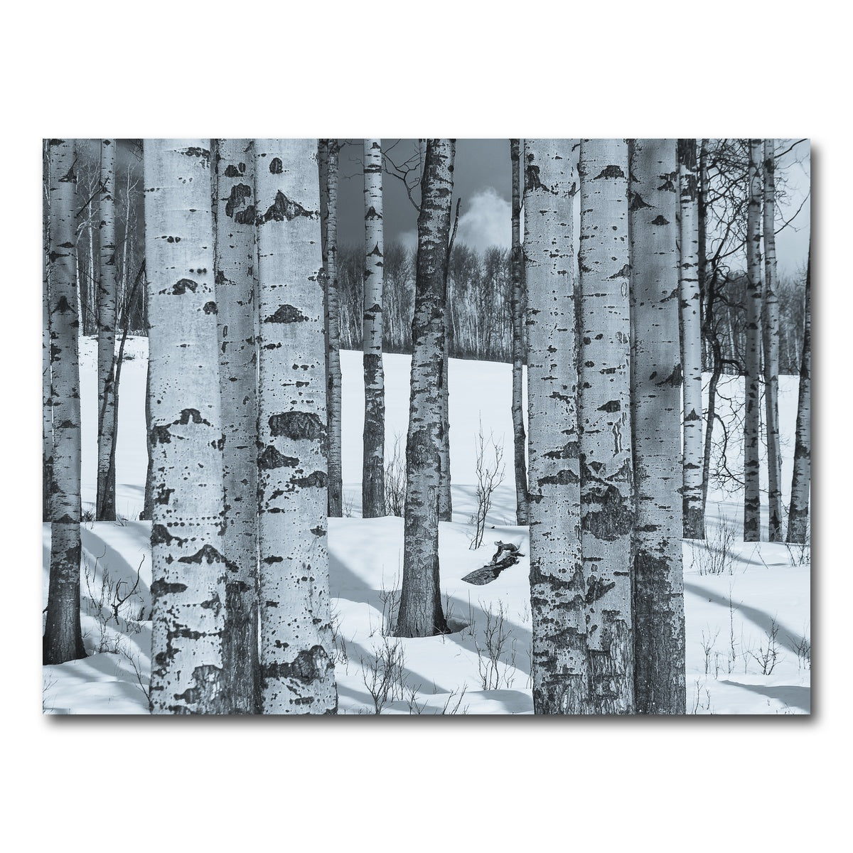 AUTO-MOCKUP WHITE | Round Lake | 1 Piece | Gallery Wrap Canvas | group=4x3