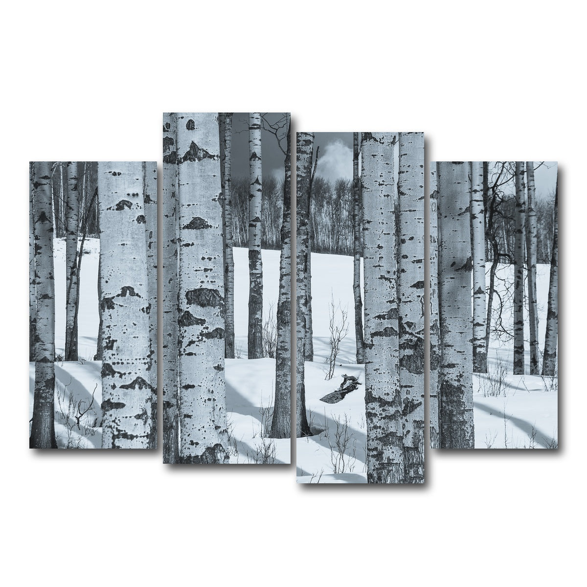 AUTO-MOCKUP WHITE | Round Lake | 4 Piece | Gallery Wrap Canvas | group=4_normal