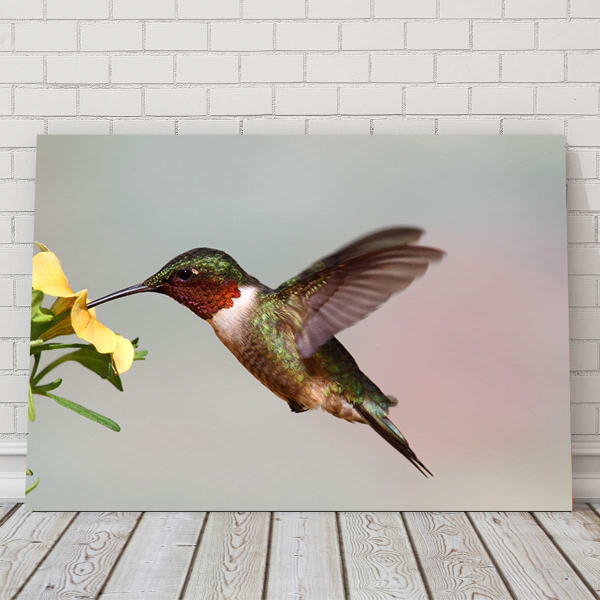 Ruby Throated Hummingbird Wall Art