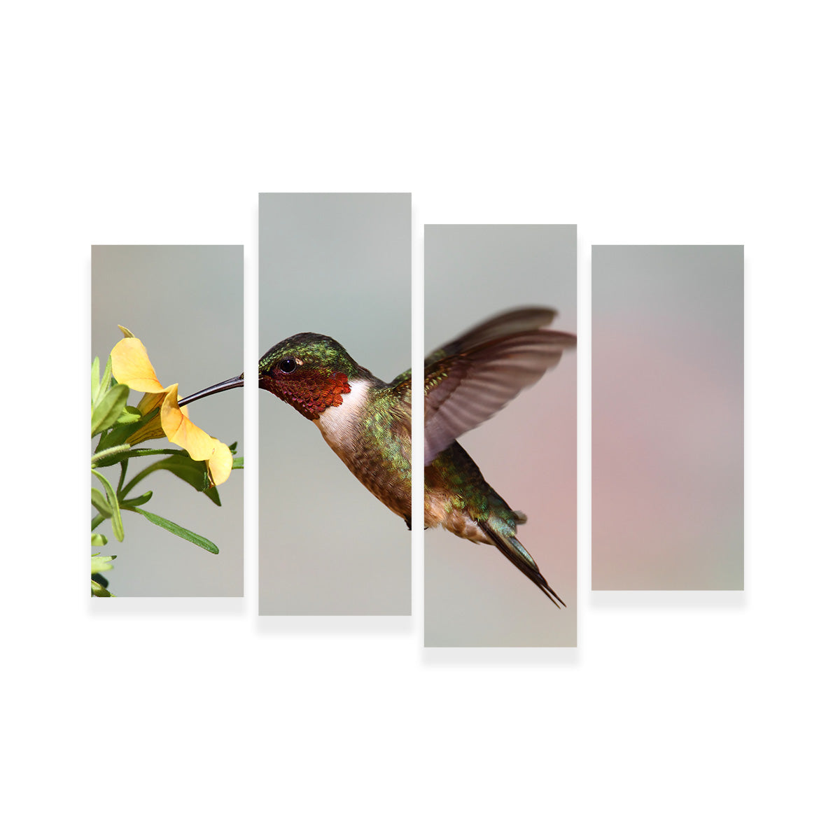 Ruby Throated Hummingbird Wall Art