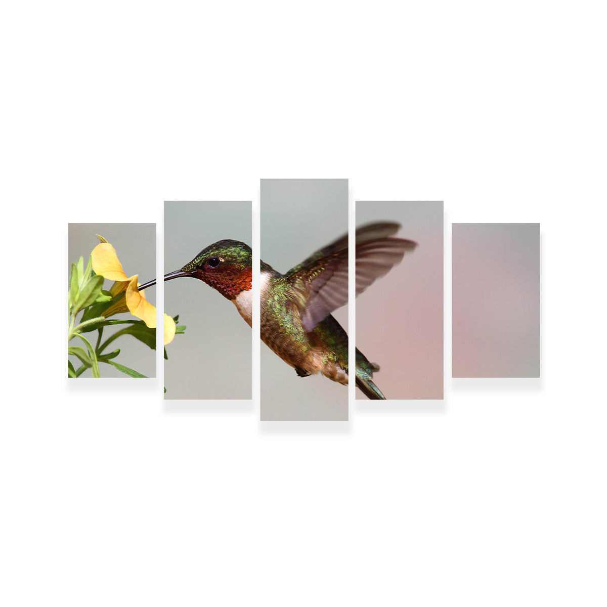 Ruby Throated Hummingbird Wall Art