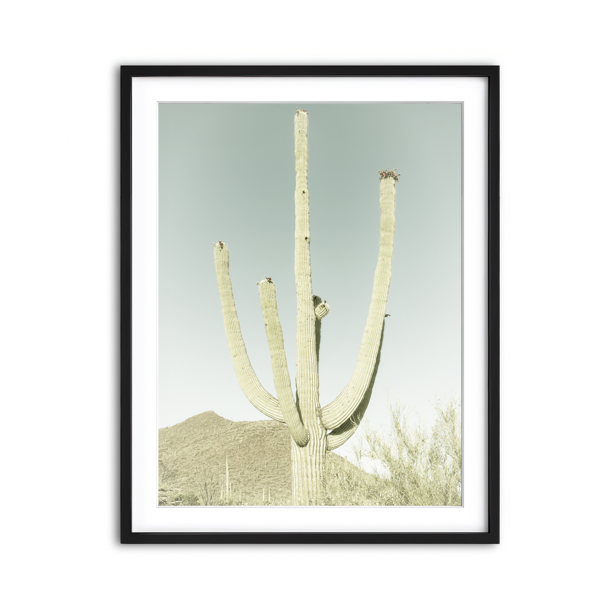 Framed Print 3x4 Black