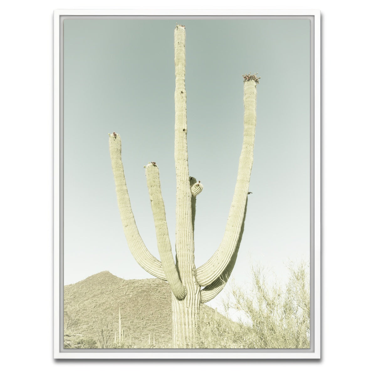 AUTO-MOCKUP WHITE | SAGUARO NATIONAL PARK Giant Saguaro | 1 Piece | White Framed Canvas | group=3x4