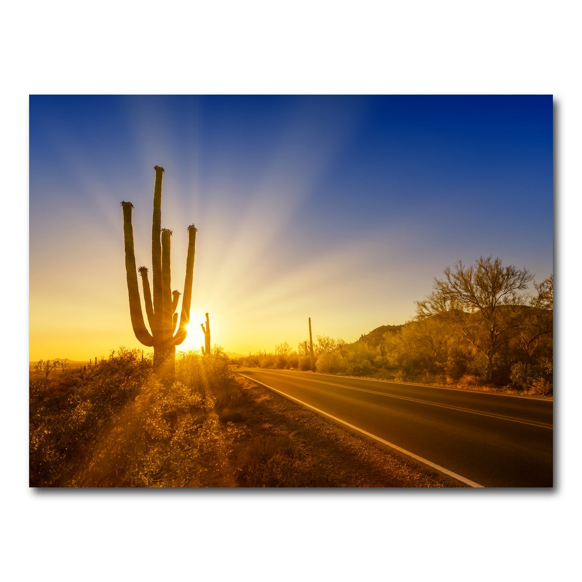 AUTO-MOCKUP WHITE | SAGUARO NATIONAL PARK Setting Sun | 1 Piece | Gallery Wrap Canvas | group=4x3