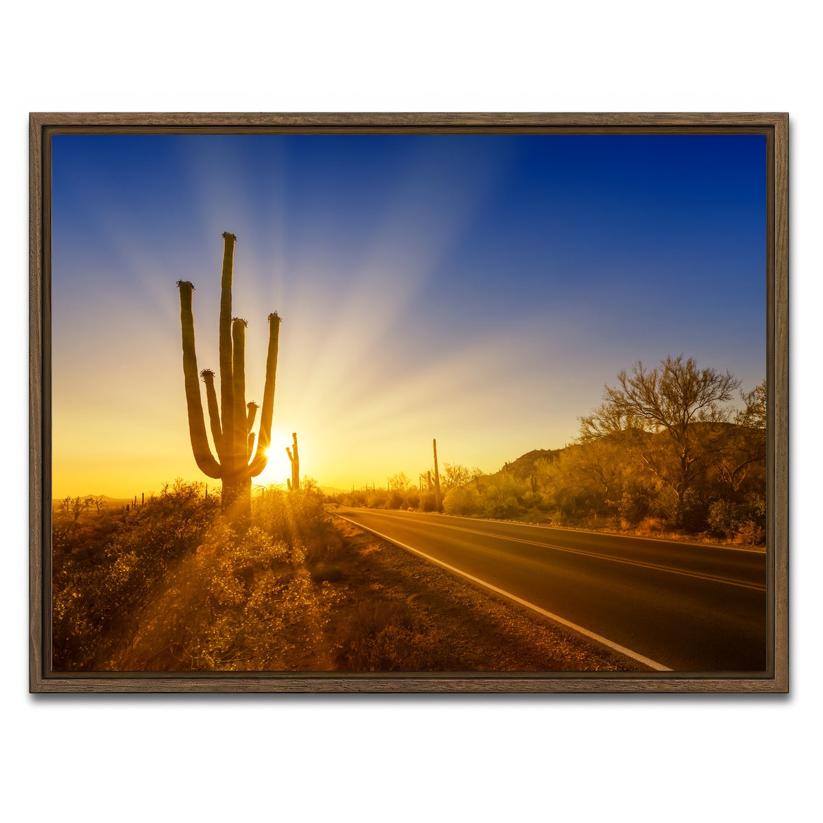AUTO-MOCKUP WHITE | SAGUARO NATIONAL PARK Setting Sun | 1 Piece | Walnut Framed Canvas | group=4x3