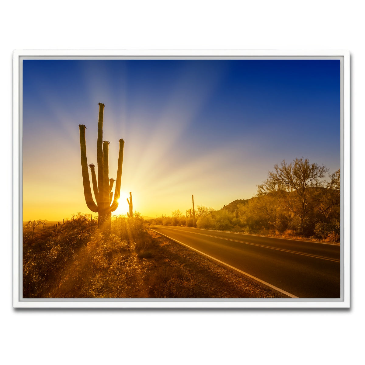 AUTO-MOCKUP WHITE | SAGUARO NATIONAL PARK Setting Sun | 1 Piece | White Framed Canvas | group=4x3
