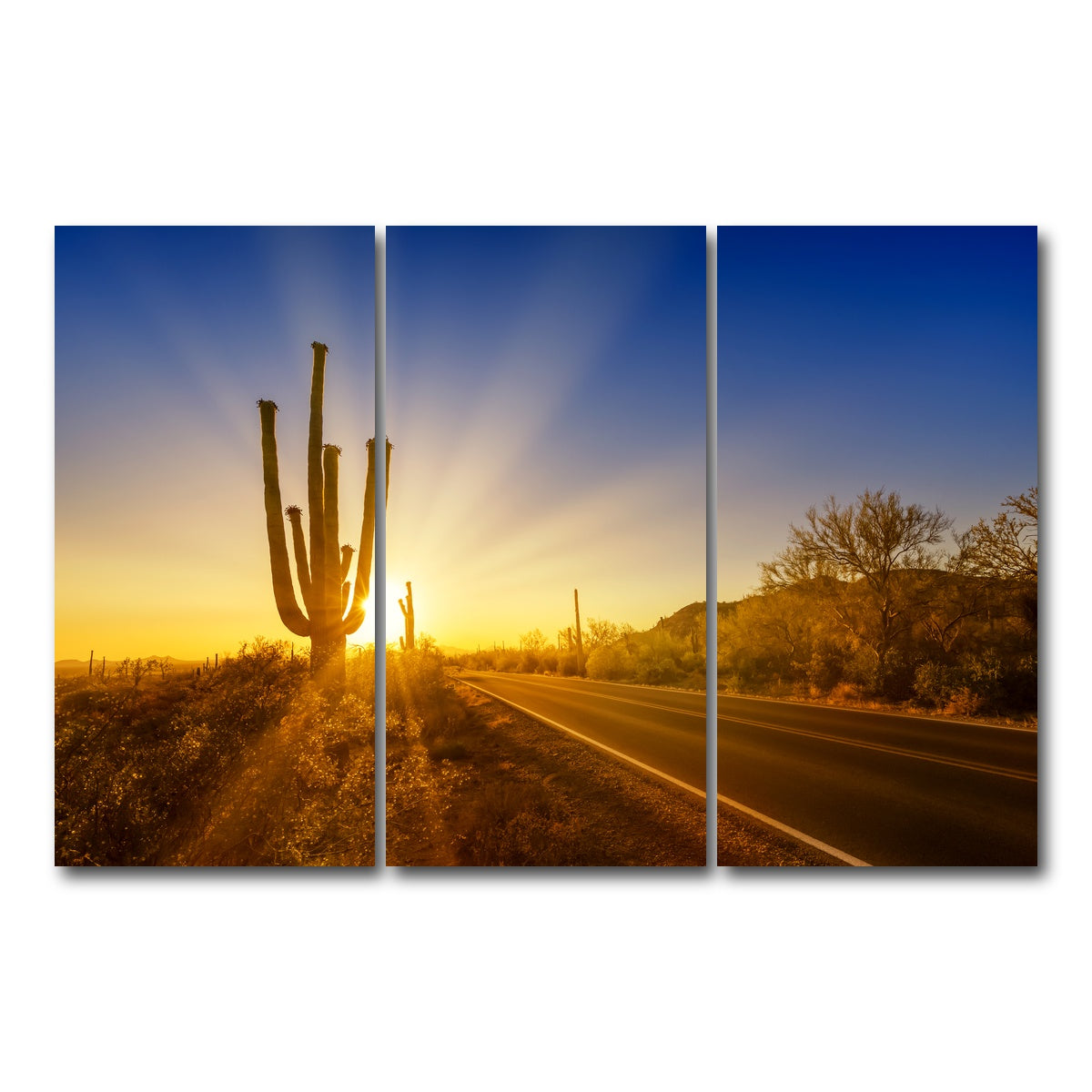 AUTO-MOCKUP WHITE | SAGUARO NATIONAL PARK Setting Sun | 3 Piece | Gallery Wrap Canvas | group=12x24