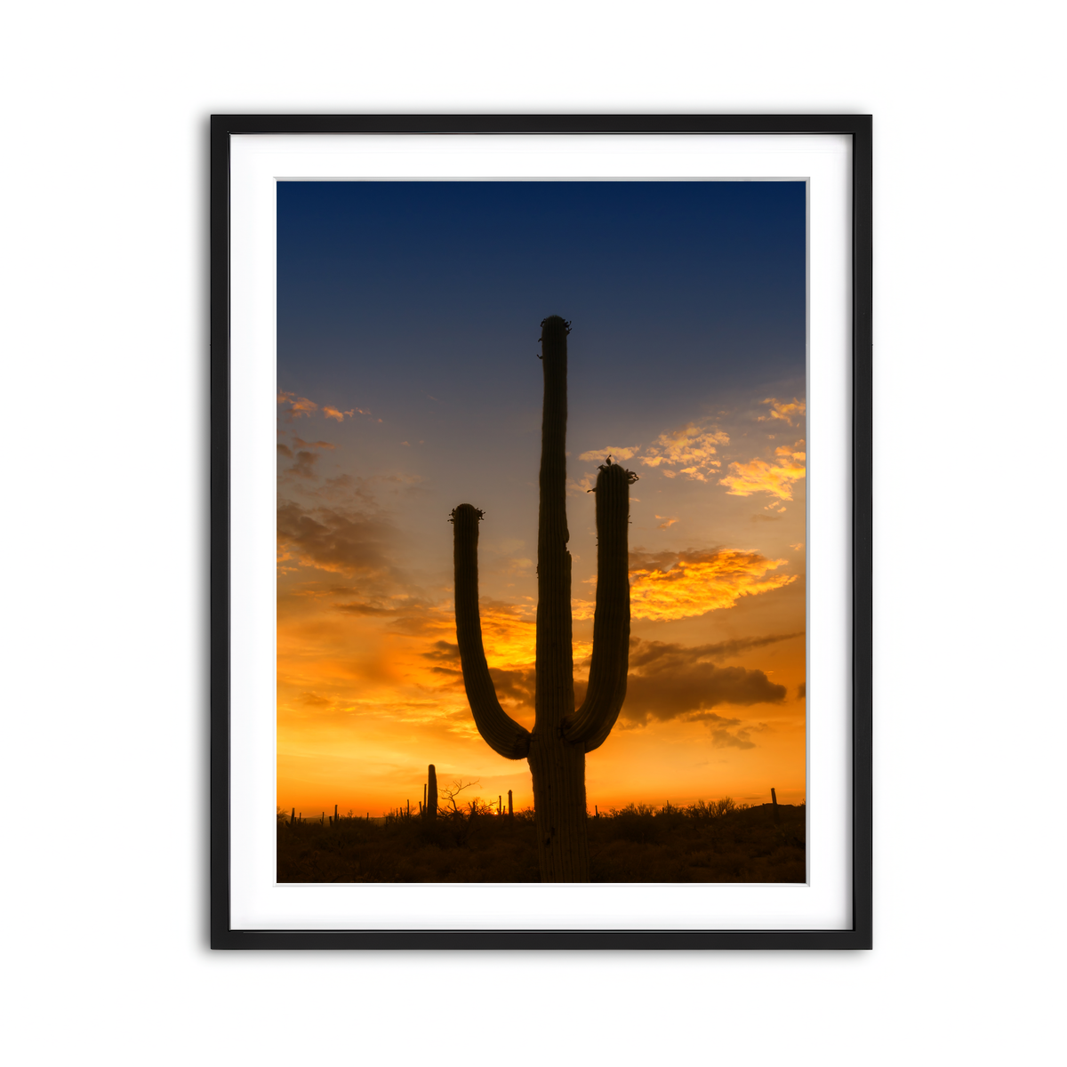 Framed Print 3x4 Black